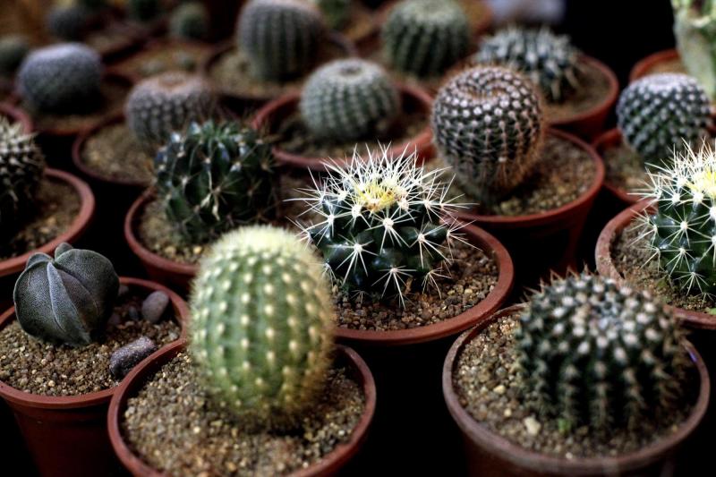 Agencia Uno - Revender productos en línea