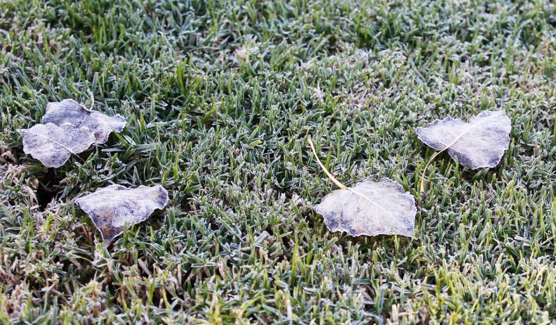 Agencia Uno - Heladas