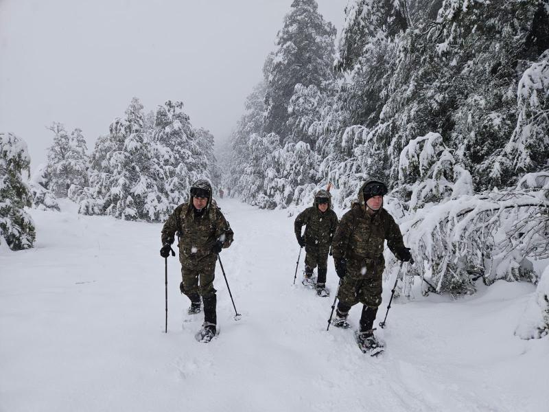 ATON - La búsqueda de Claudio Moreno en el Parque Nacional Villarrica inició a fines de junio