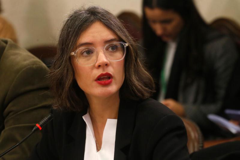 ATON - Vocera de Gobierno, Camila Vallejo