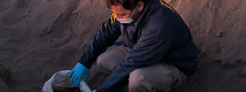 Hallan saco con huesos en Antofagasta