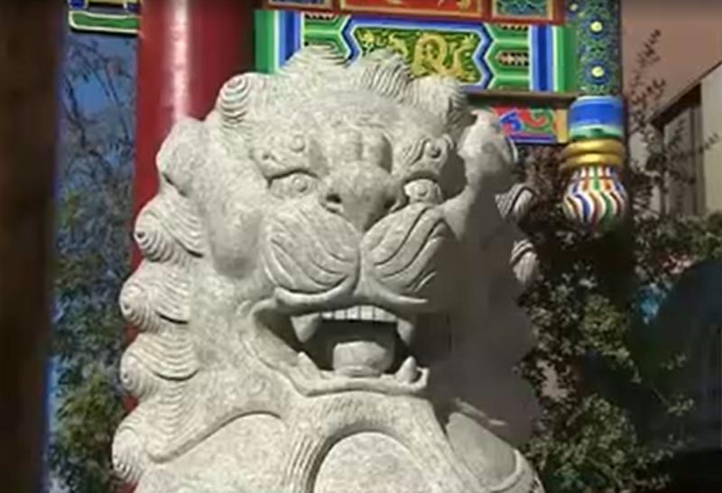 T13 - Leones en pleno Barrio Meiggs