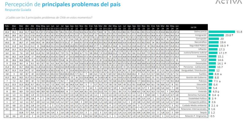 Pulso Ciudadano - Problemas país