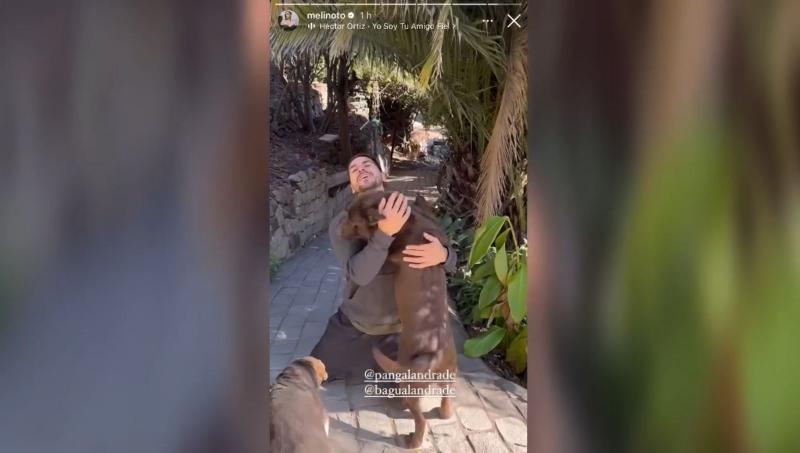 Instagram - Pangal Anrade se reencuentra con su perro Bagual