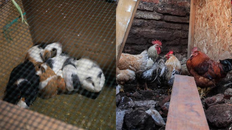 Allanamiento de barbería en barrio Franklin - Agencia Uno