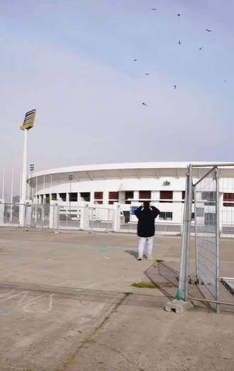 Cóndores volando sobre el Estadio Nacional