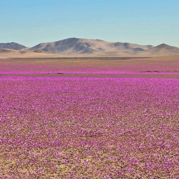 Instagram - Gyslaine Medely Mansilla Escobar