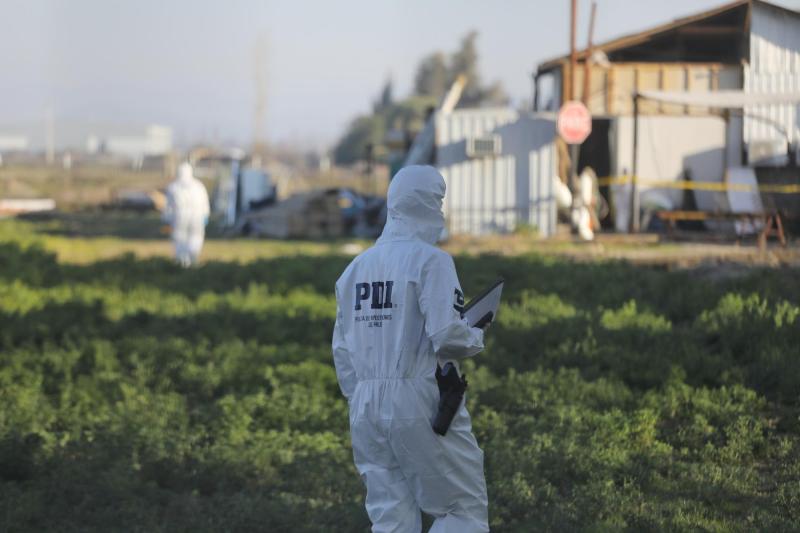 Nuevos testimonios de masacre en Lampa - Agencia Uno