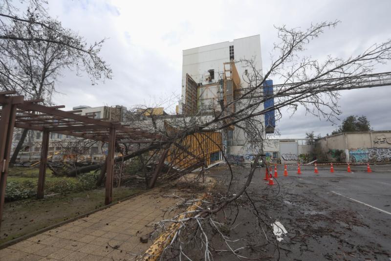 Agencia Uno - Alerta Temprana Preventiva por fuertes vientos en la región Metropolitana