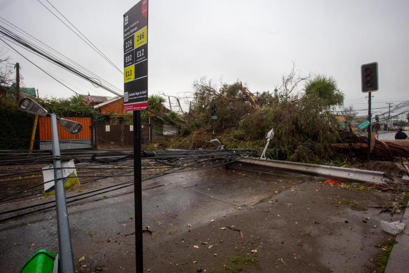 Agencia Uno - Un árbol caído por sistema frontal