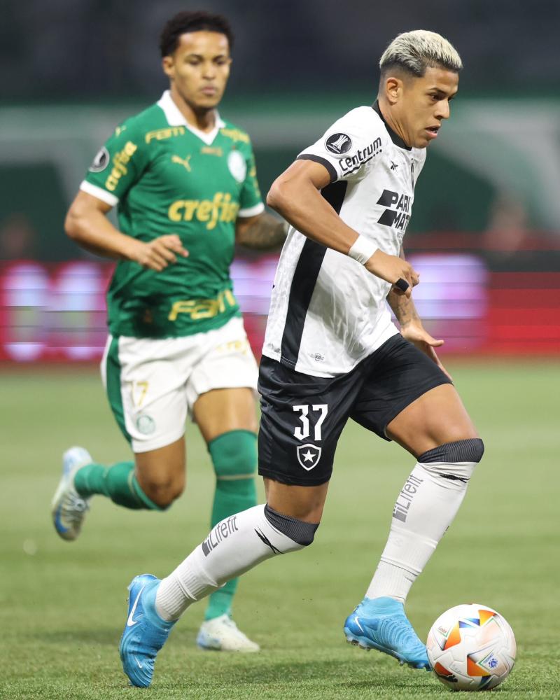 Palmeiras vs Botafogo. Crédito: Botafogo.