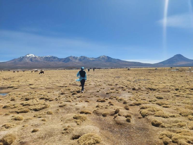 Colchane - Encuentran muerta a mujer venezolana en frontera entre Chile y Bolivia