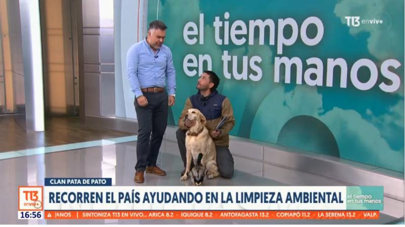 "Clan Pata de Pato" - T13