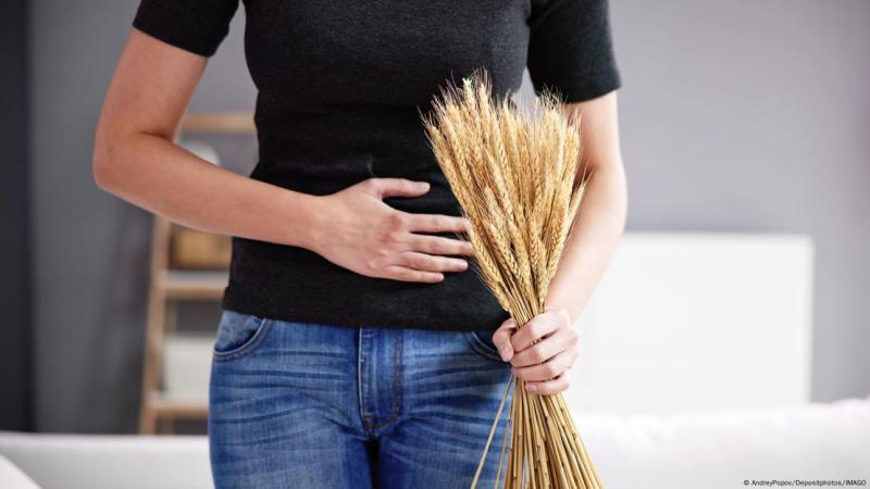 Científicos de varios países colaboraron durante seis años para desentrañar la respuesta inflamatoria en celíacos.