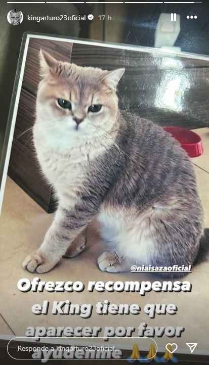 "Es una situación difícil para nosotros": Arturo Vidal ofrece recompensa para recuperar a su gato "King"