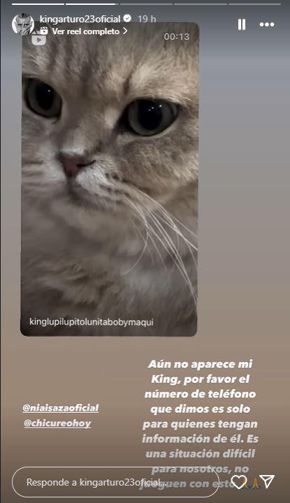 "Es una situación difícil para nosotros": Arturo Vidal ofrece recompensa para recuperar a su gato "King"