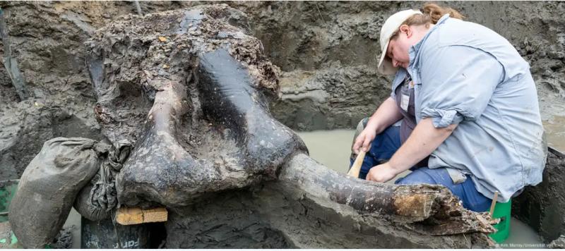 DW - Descubrimiento del mastodonte