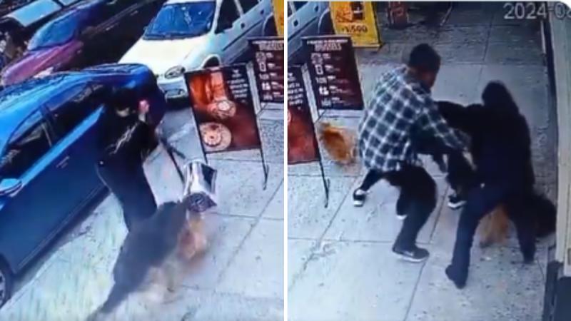 Trabajador fue despedido por 'agredir' a un perro - X @pa_u