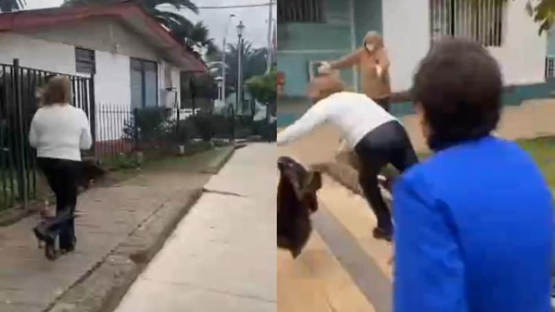 Instagram - Alcaldesa de Nogales sufrió fuerte caída tras protagonizar tenso momento con funcionarios de la Confusam