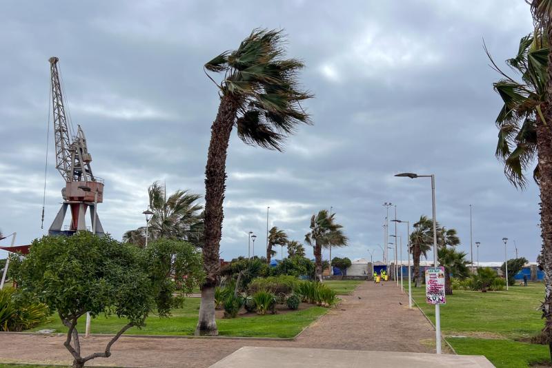 Agencia Uno - Alerta meteorológica por vientos moderado a fuerte para tres regiones de la zona centro sur