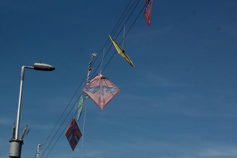 Agencia Uno - La ley sanciona la comercialización y uso de hilo curado