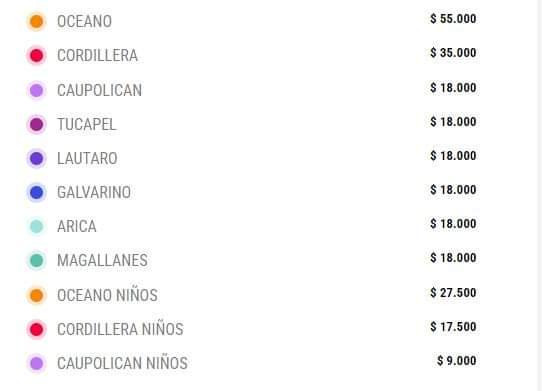 Entradas Colo Colo. Crédito: Puntoticket.