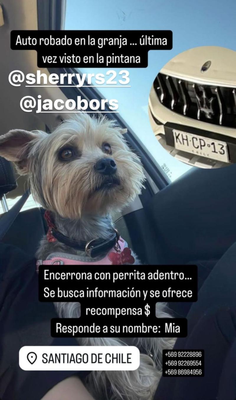 Instagram - Familia busca a perrita perdida en encerrona en La Granja