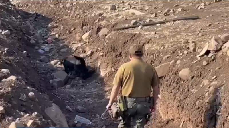 Decretan presidio perpetuo para femicida de su suegra - T13