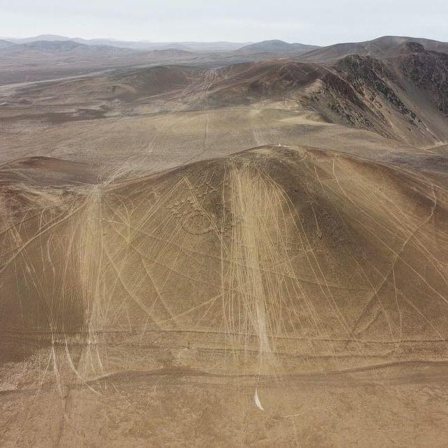 Fundación Desierto Atacama - Denuncian destrucción de geoglifos