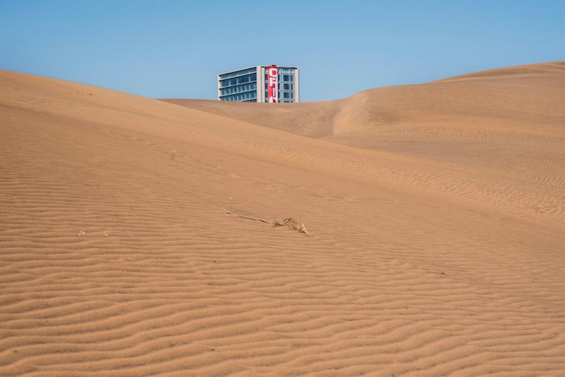 Presentan denuncia por maltrato animal contra acusado de arrasar con aves en Ritoque