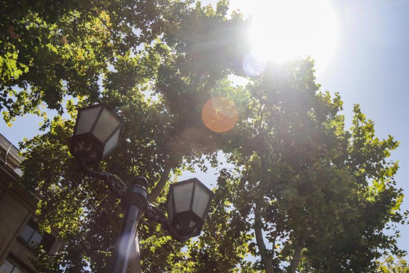 Agencia Uno - Michelle Adam adelantó el tiempo en Tu Día