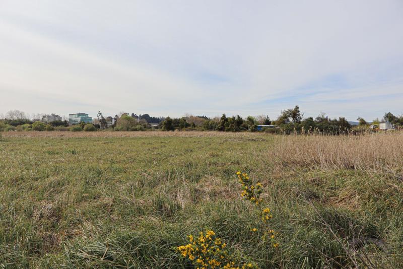 Lanzan guía para valorar servicios ecosistémicos que prestan los humedales en Chile