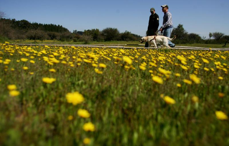 Agencia Uno - Referencial