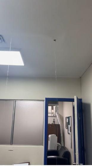 Filtraciones en el San Borja