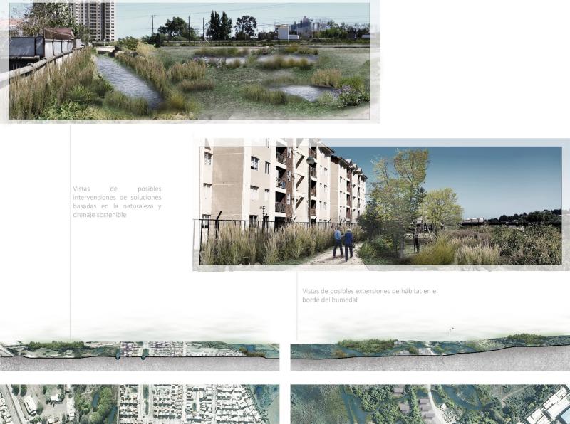 Publican Plan Maestro para la protección de humedales urbanos en el Biobío