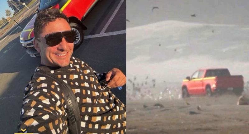 Culpable de matar aves en Ritoque