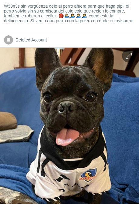 SOSAFE - Robo de camiseta de Colo Colo a perro