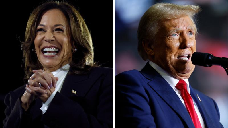 Los candidatos de las elecciones presidenciales en Estados Unidos - AFP