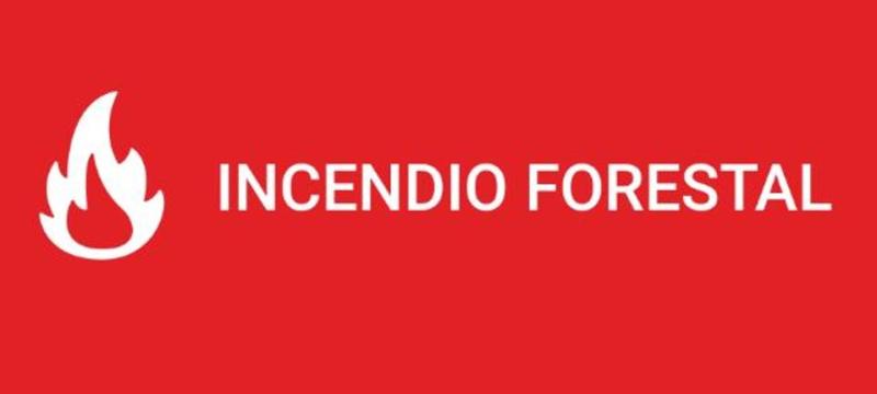 Senapred declara alerta roja en Valparaíso por incendio forestal - SENAPRED