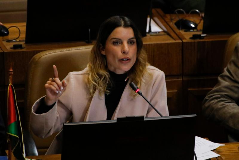 Diputada Maite Orsini y acusaciones contra Valdivia: "Pensé que sería más fácil saber qué hacer"