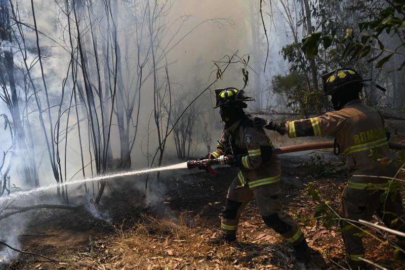 Agencia Uno - Incendio forestal en Quilpué