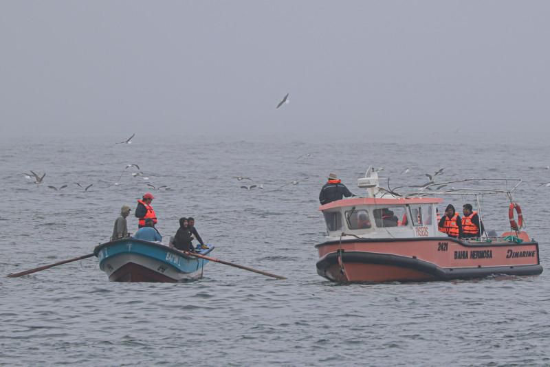 Búsqueda de Aníbal Silva - Agencia Uno