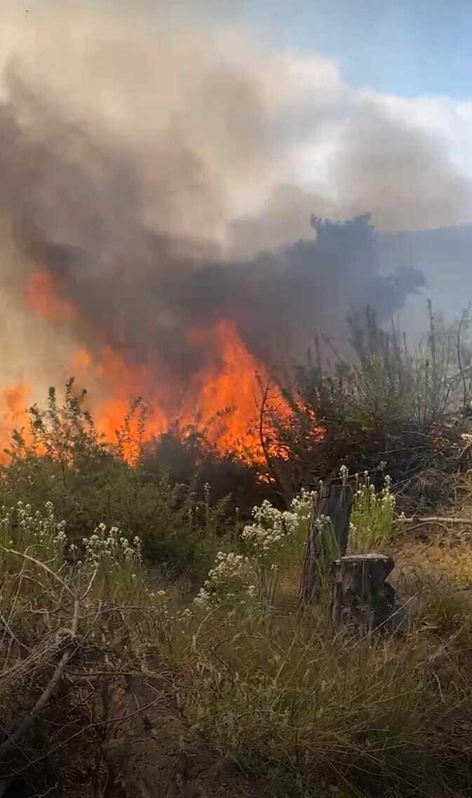 'X' @ernestomolina85 - Incendio forestal en Laguna Verde de Valparaíso