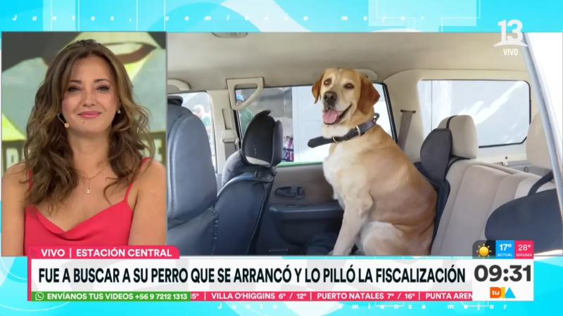 Canal 13 - "Ragnar" se lució en Tu Día durante fiscalización