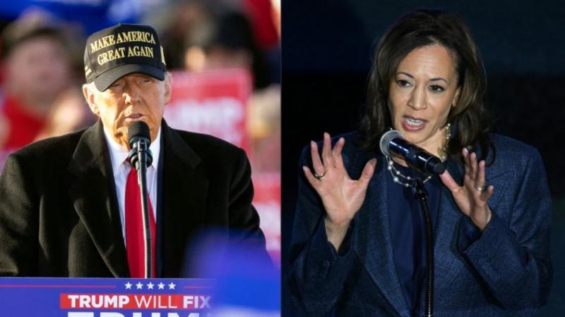 AFP - Donald Trump / Kamala Harris