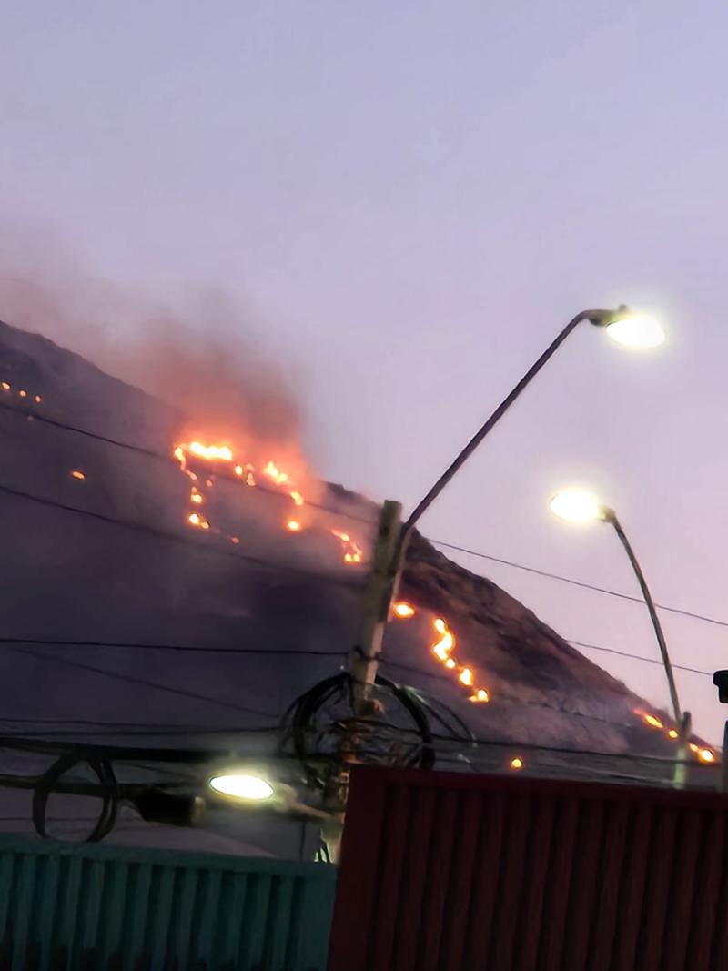 Incendio forestal afecta a ladera del Cerro Renca: Fuego está cercano a Valle Lo Campino
