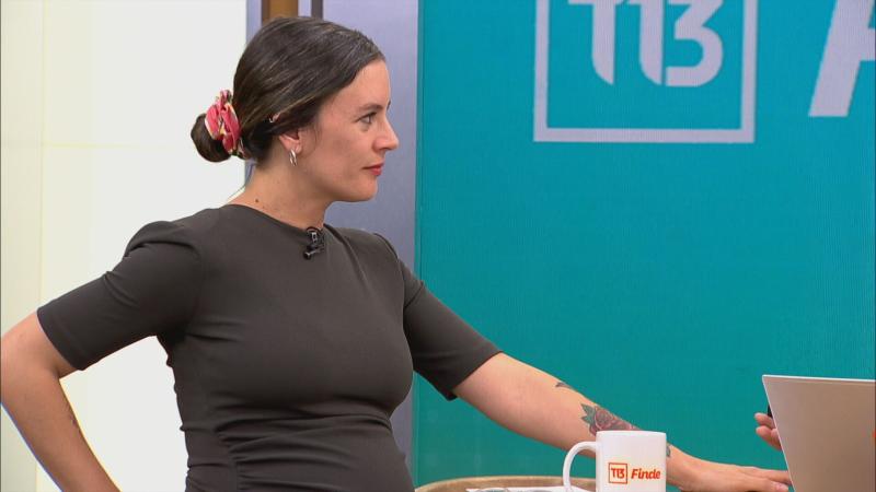 T13 - Vallejo descarta que La Moneda deba pedir disculpas a denunciante de Monsalve: "La persona que es responsable de los delitos es una sola"