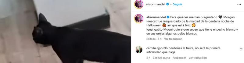 Instagram - Usuario le escribe a Alison Mandel pensando que estaba casada con Sergio Freire: Pedro Ruminot respondió