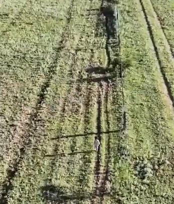 Un dron policial logra encontrar a niña desaparecida en La Pampa argentina