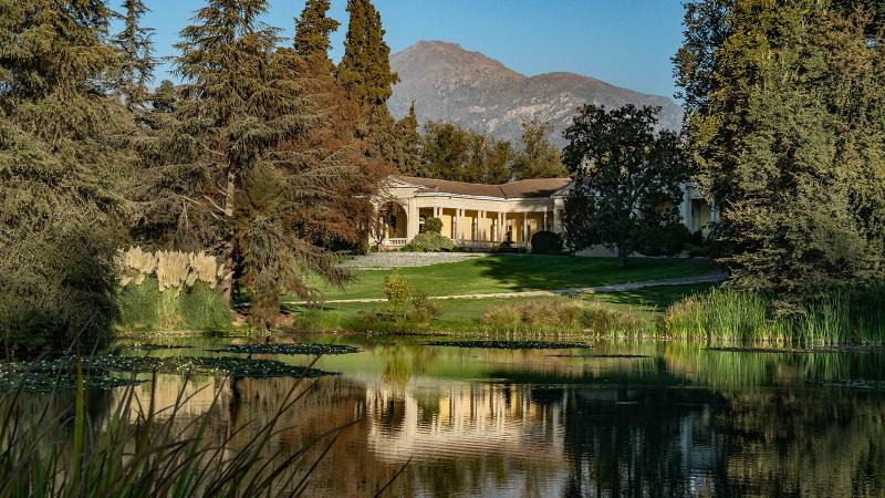 Wine Spectator - Vino chileno Don Melchor es elegido como el número 1 del mundo: ¿Cuánto cuesta?